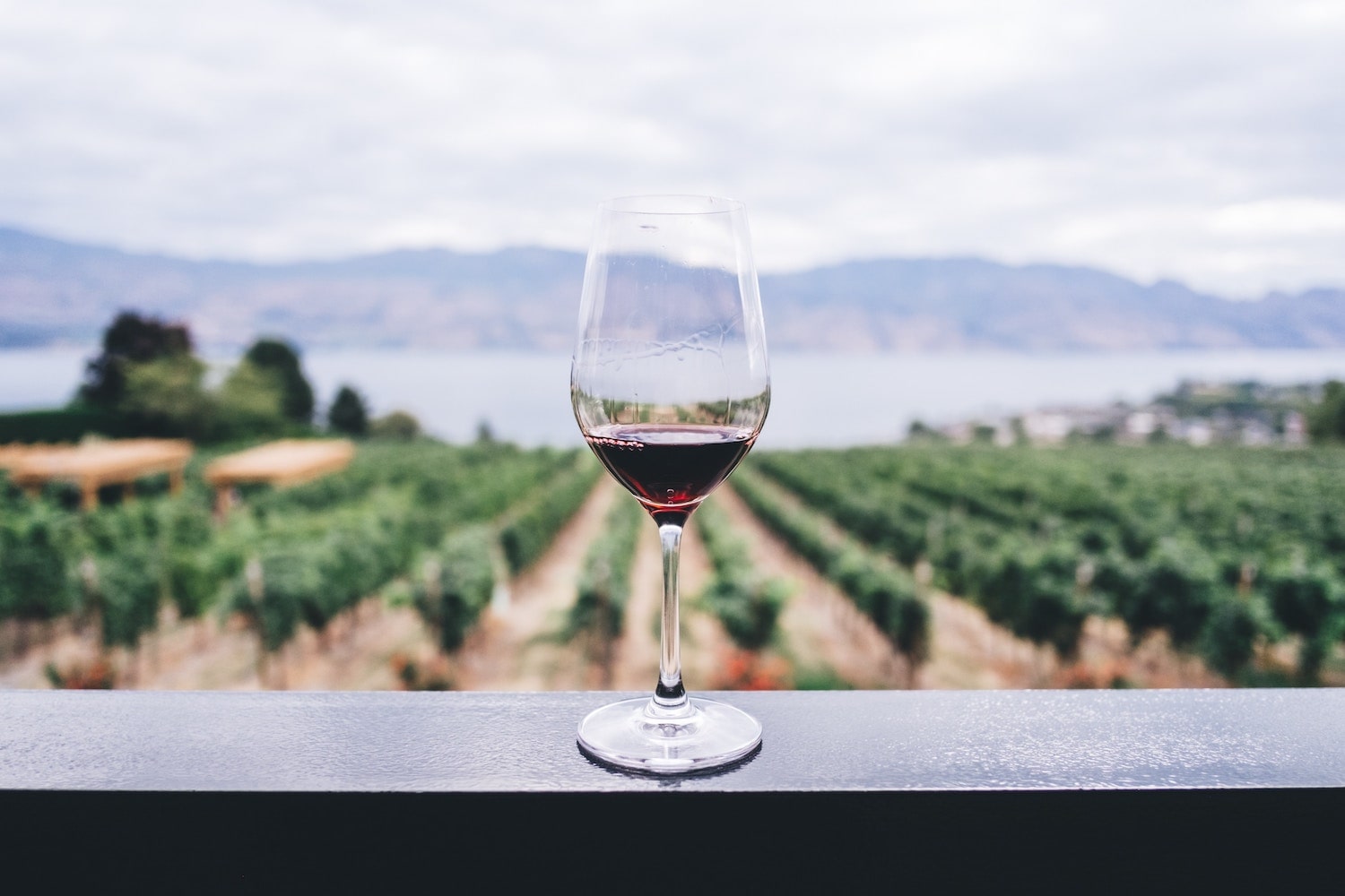 Wine Tasting 101: A Beginner's Guide to Enjoying and Appreciating Wine